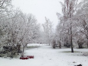 28 april 2016 - snö